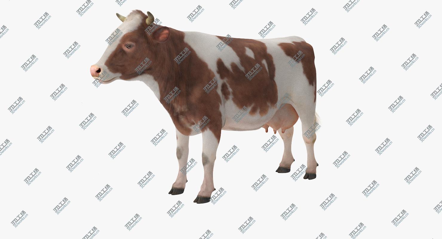 images/goods_img/2021040161/3D Cow with Fur Rigged/3.jpg